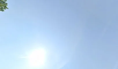Dehne GmbH